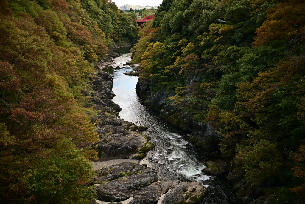 DSC_1438