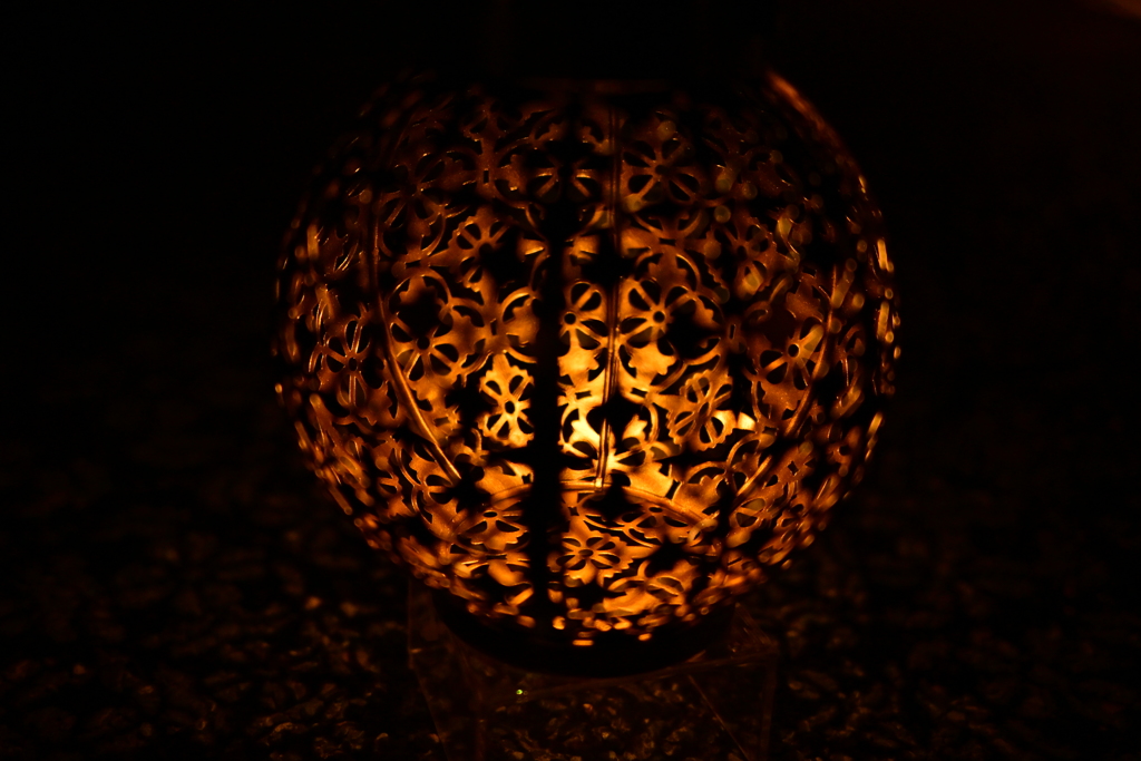 DSC_2629