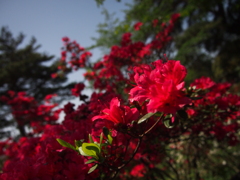 P4220230