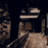 PB041810