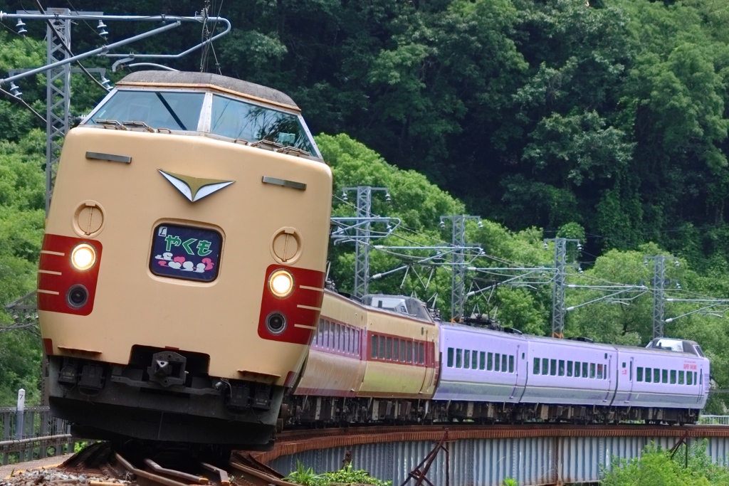 特急やくも 迫真のカーブ