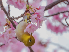 もうすぐ春