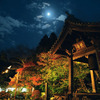 夜間特別拝観