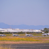 順番待ちT-4