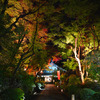 夜間特別拝観