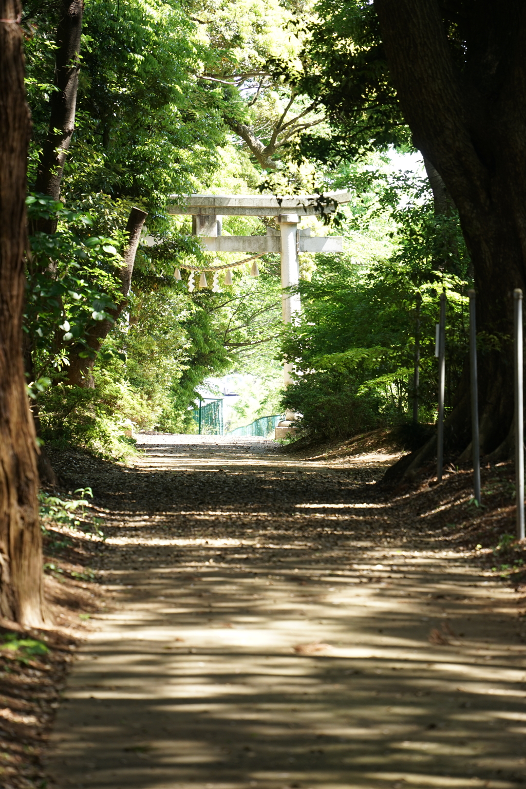 夏の気配