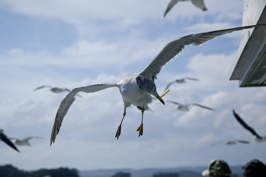 かっぱえびせん