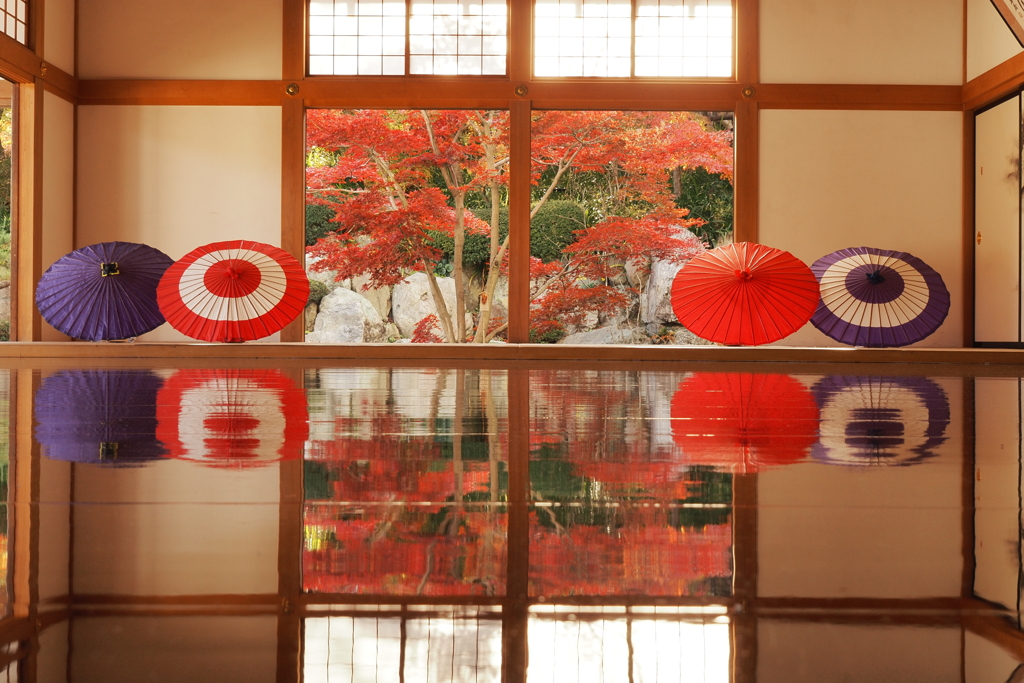 傘と紅葉と床と