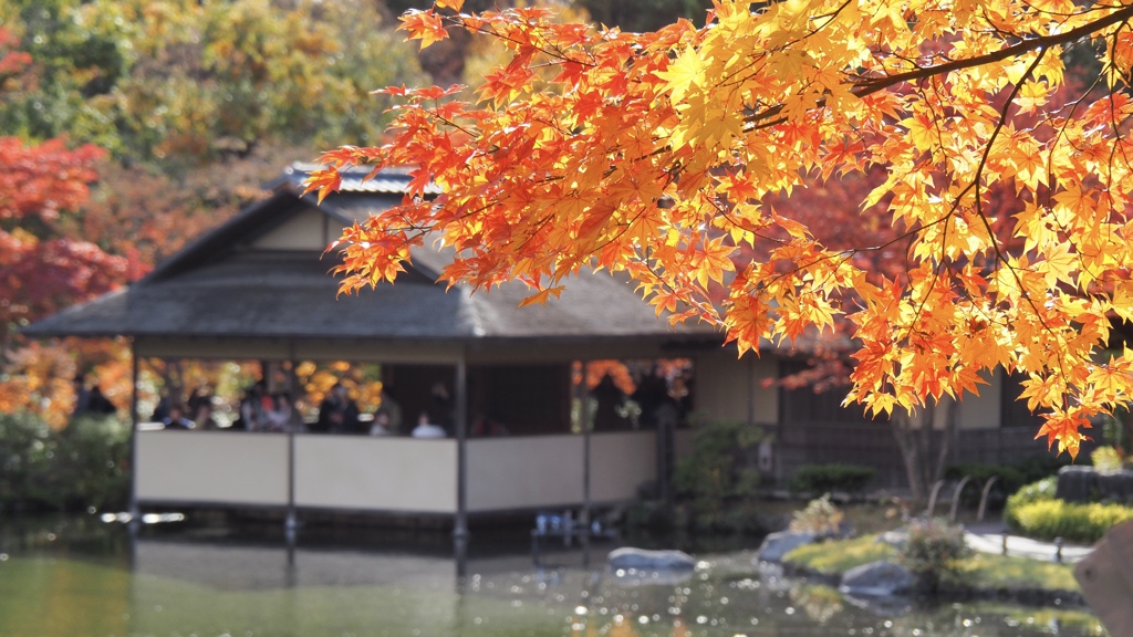 昭和記念公園の日本庭園