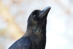 春の陽気