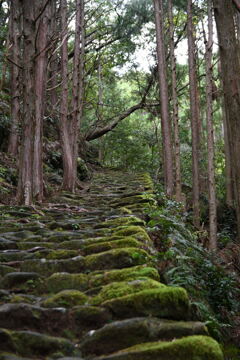 熊野古道松本峠