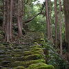 熊野古道松本峠