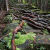 世界遺産熊野古道の力