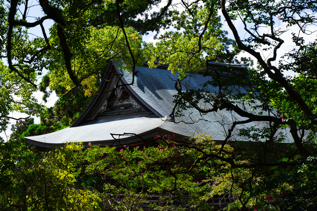 つくば神社