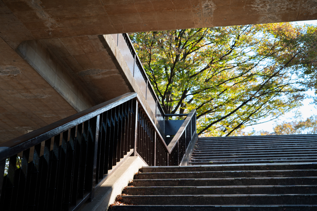 yoyogi-231028-1
