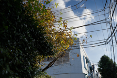 nakame-230916-2