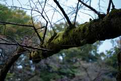 inokashira-231001-3