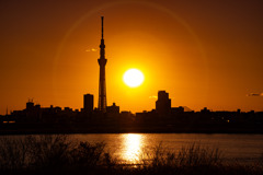 夕日とスカイツリー（荒川河川敷）