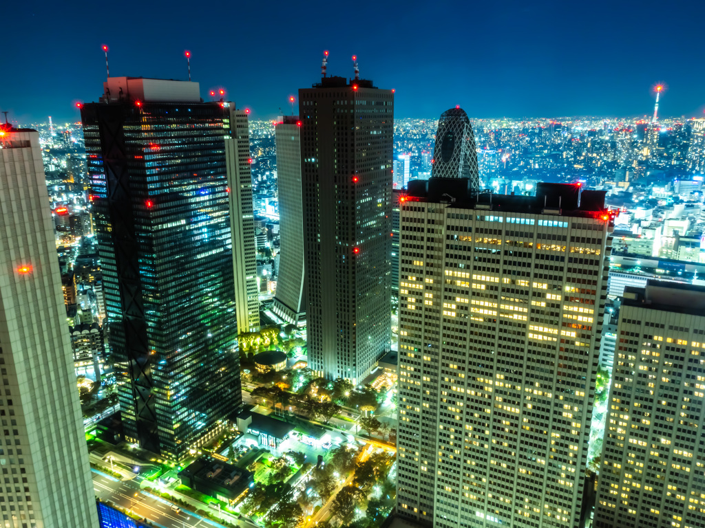 夜景（都庁展望台より）