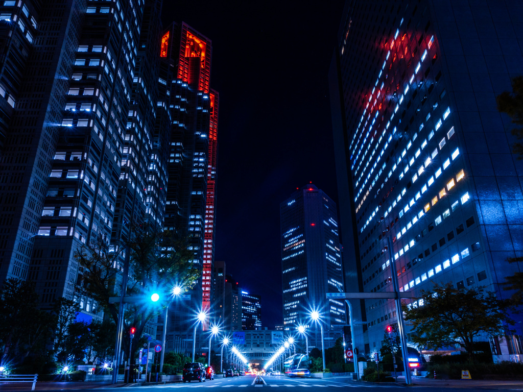 夜の都庁通り交差点