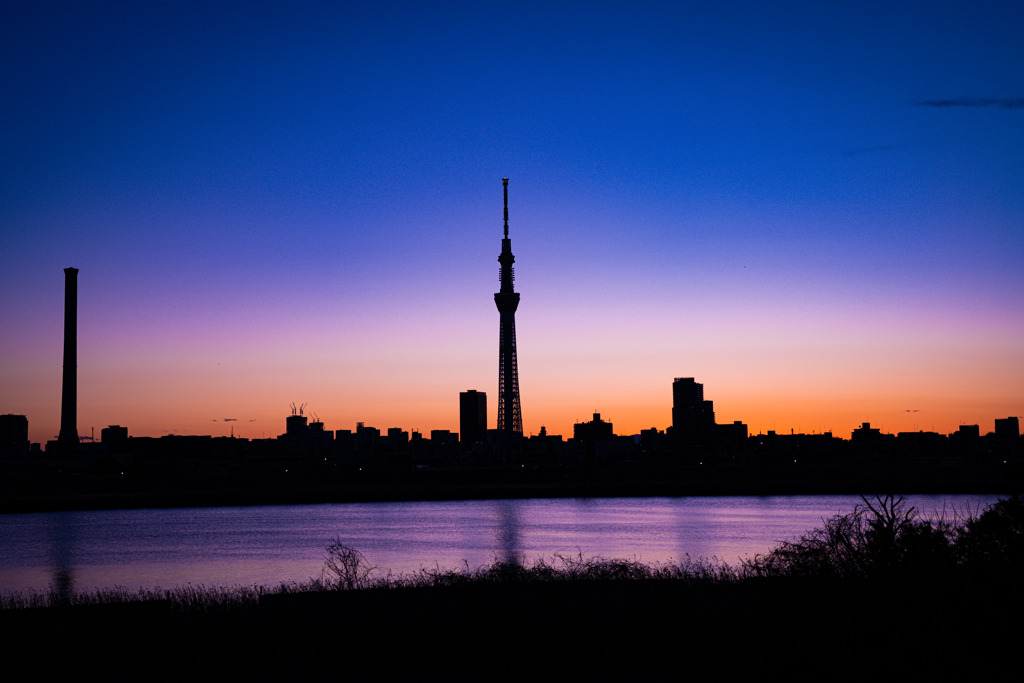 夕暮れ時のシルエット（荒川河川敷_スカイツリー方面）