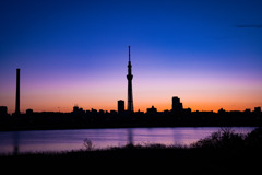 夕暮れ時のシルエット（荒川河川敷_スカイツリー方面）
