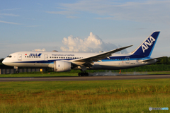 JA817A