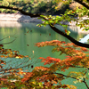 湖面も色ずく