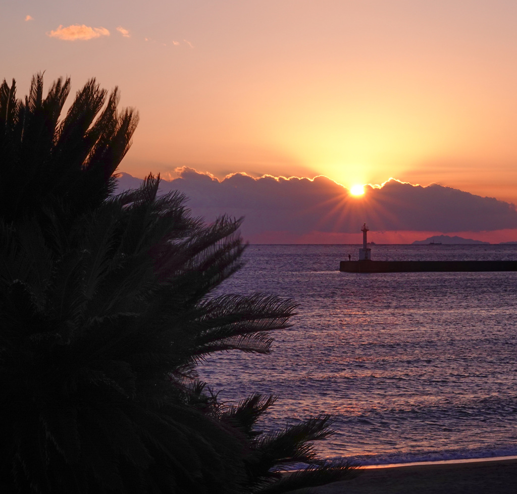 拡散夕日
