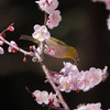 蜜の出来栄え点検