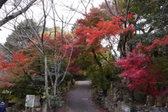 石仏と紅葉