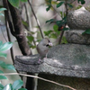 シメと石塔
