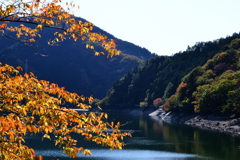 色つく湖面