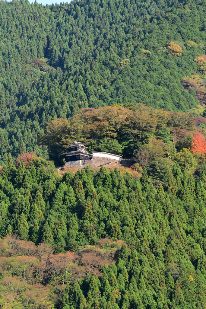 遠くの城壁