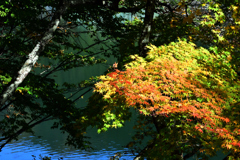 色つく湖面ー3
