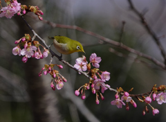 チョット確認