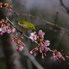 チョット確認