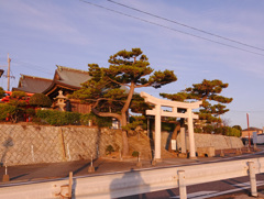 夕景神社