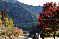 湖面を望む