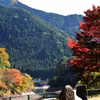 湖面を望む