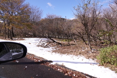 名残雪