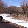 名残雪