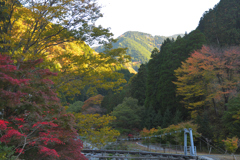 渓谷の秋