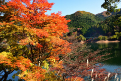 湖面の色ずき