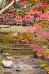色ずく