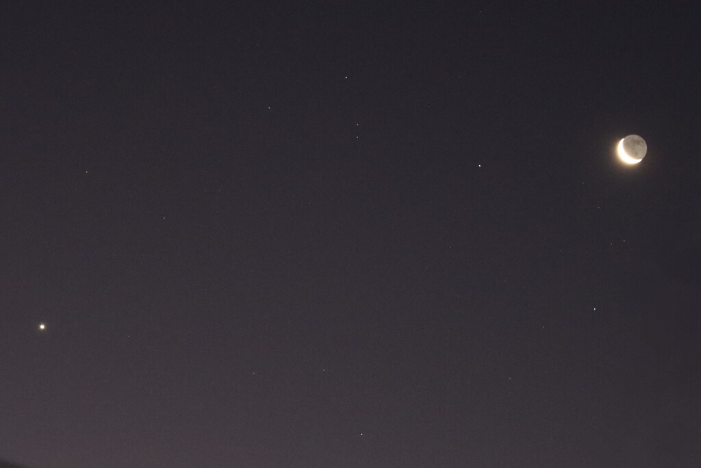 今朝の月と金星