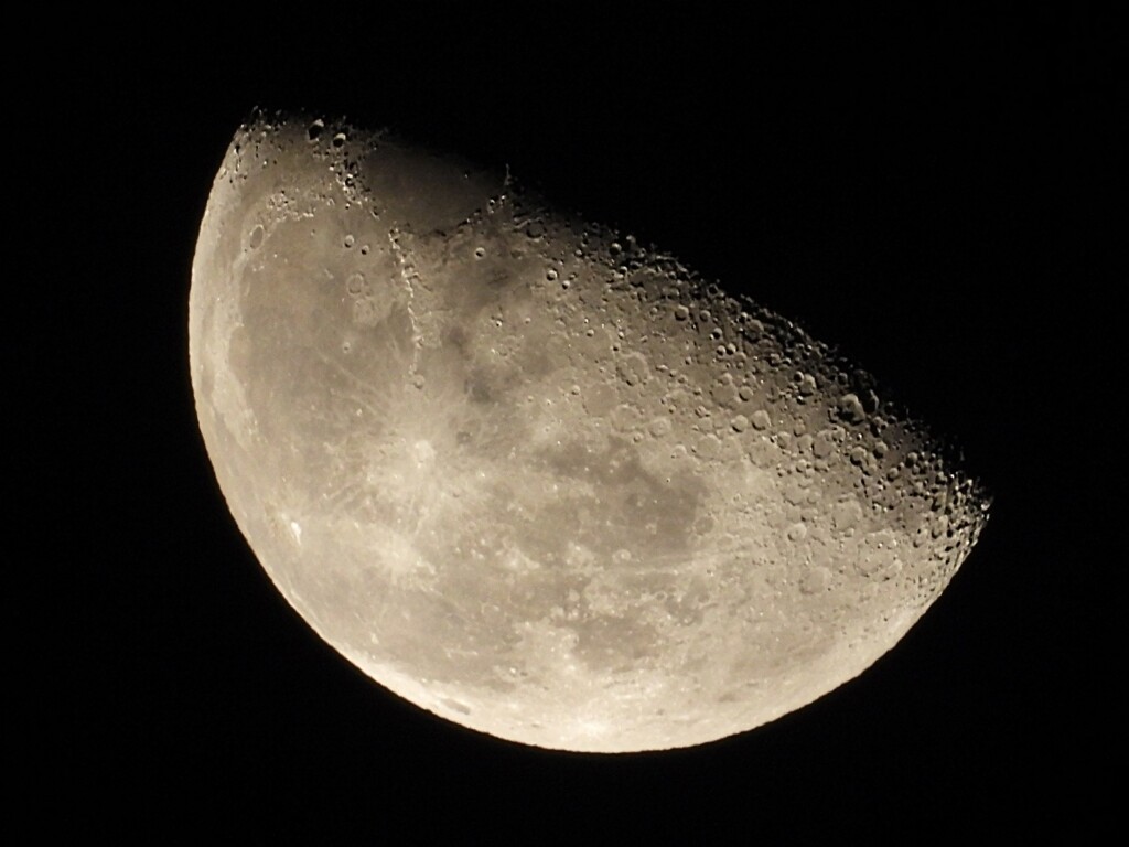 今朝のお月様