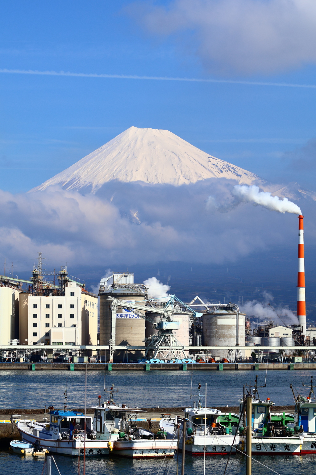 田子の浦と富士山