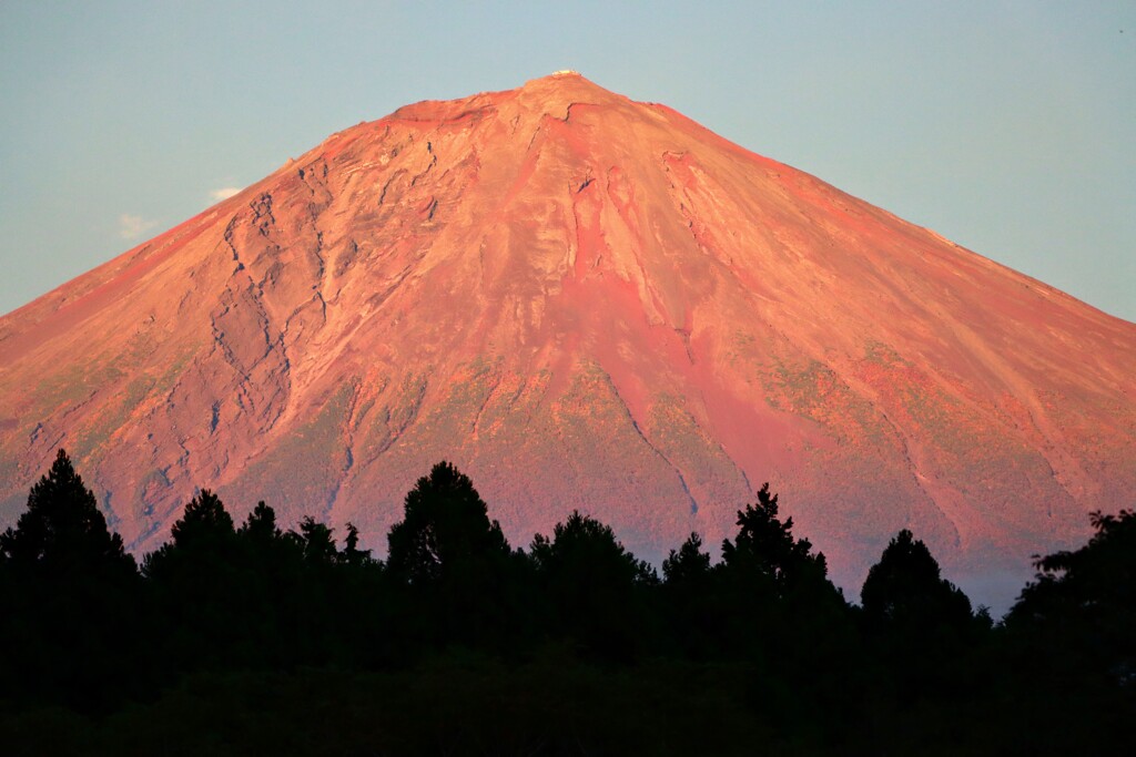 鮮やか