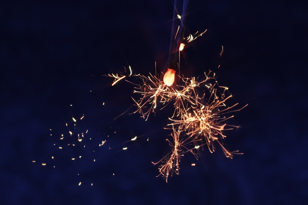 少し早い我が家の大花火大会